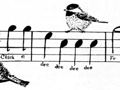 Links for March&nbsp;2026